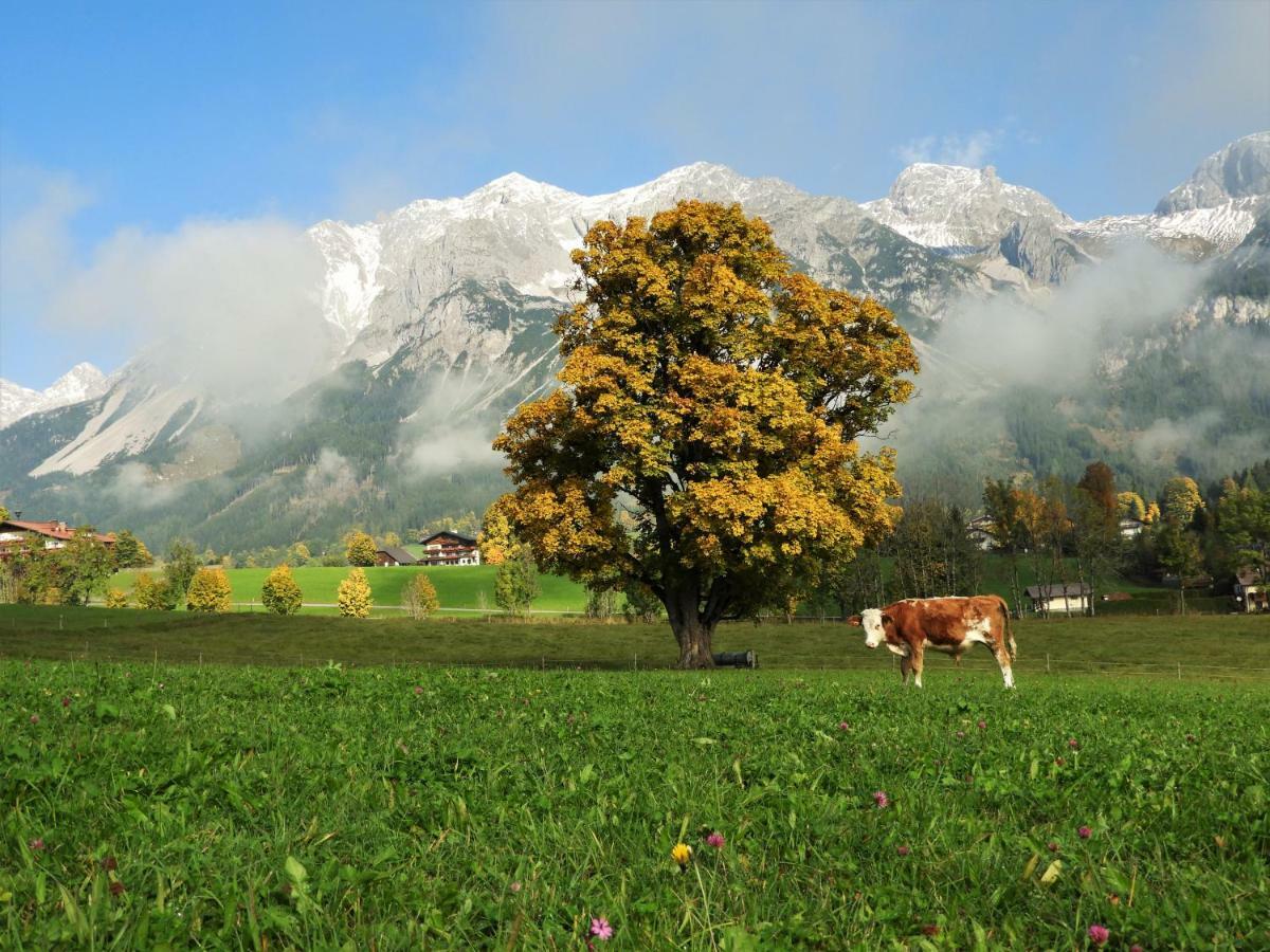 Ferienwohnung Eggerhof Ramsau am Dachstein Exterior foto